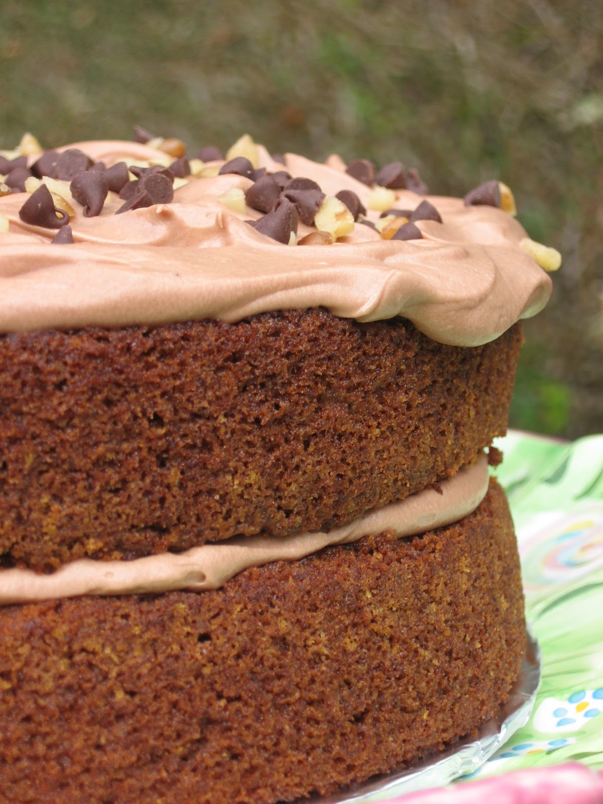 Burn Me Not Chocolate Carrot Cake