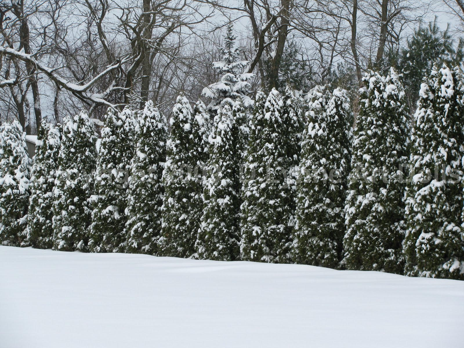 [IMG_7985.JPG]