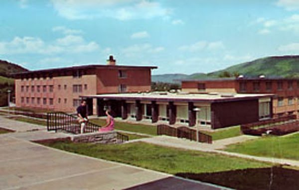 Delhi Suny