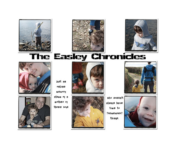The Easley Chronicles