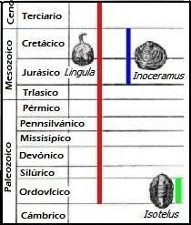 Intervalos geológicos de 3 invertebrados marinos