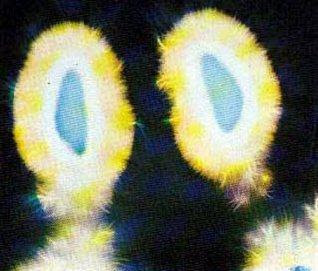 Foto kirlian tomada a dedos pertenecientes a dos personas que se aman