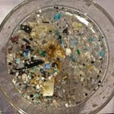 Hay seis veces mas desechos plásticos en el Gran Parche que organismos marinos.