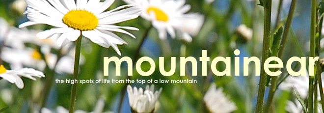 mountainear