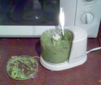 Pesto in a precious food processor.