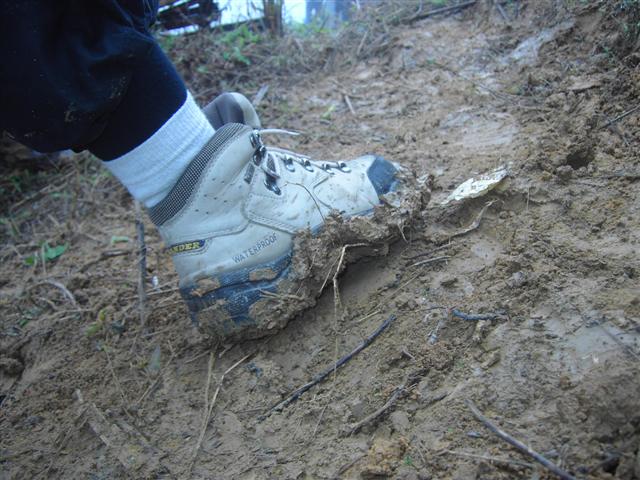 [PICT4471+(Small).JPG]