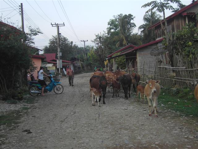 [PICT3660+(Small).JPG]