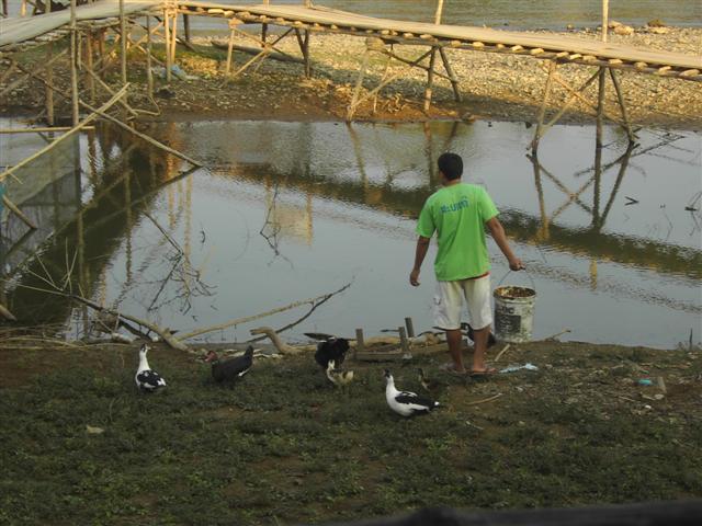 [PICT3625+(Small).JPG]