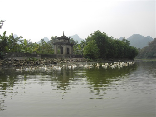 [PICT4797.JPG]