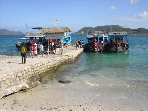 [PICT0209.JPG]