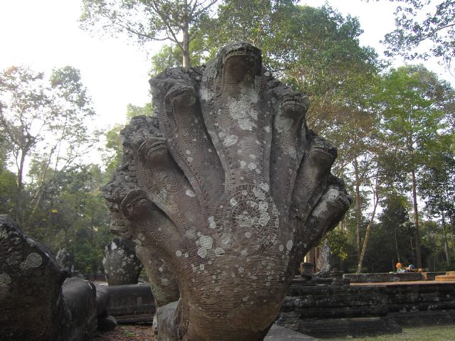 [PICT2279.JPG]