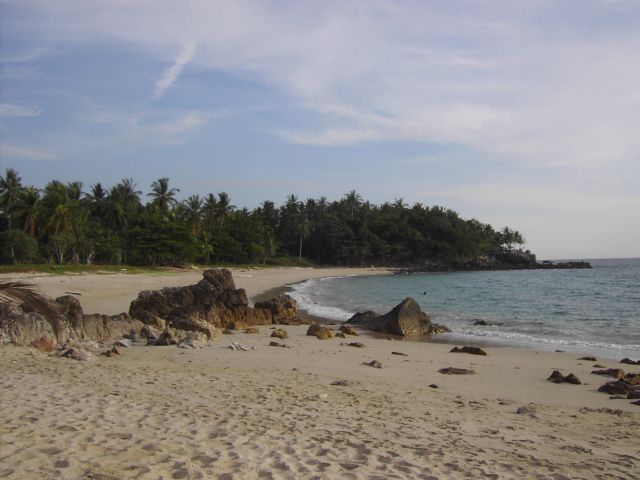 [PICT2699.JPG]