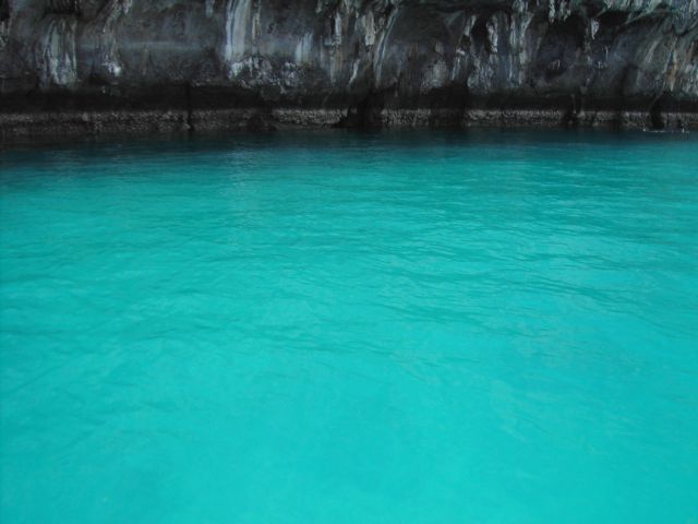 [PICT2745.JPG]