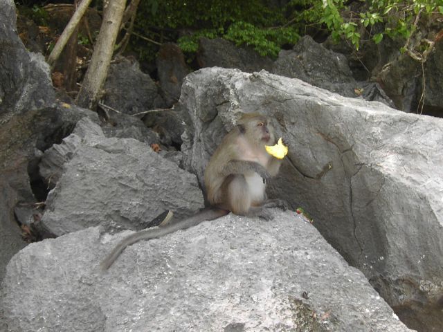 [PICT3000.JPG]