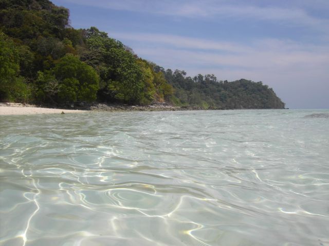 [PICT3147.JPG]