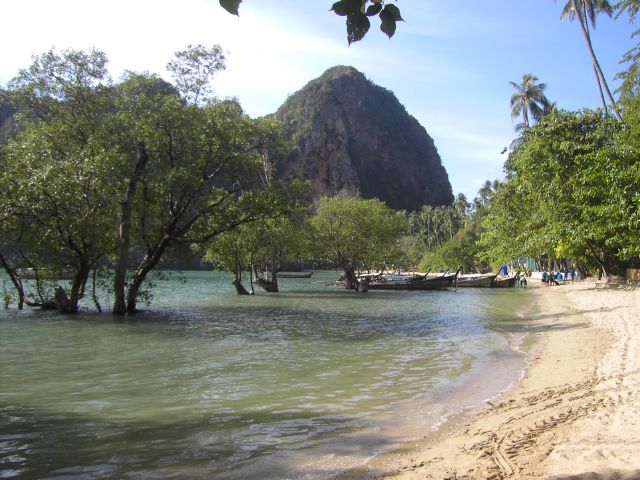 [PICT3331.JPG]