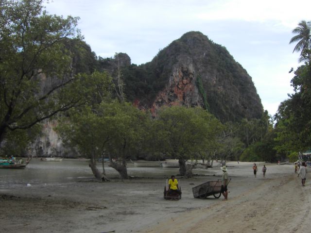 [PICT3249.JPG]