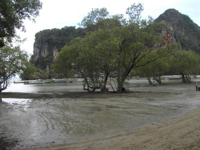 [PICT3247.JPG]