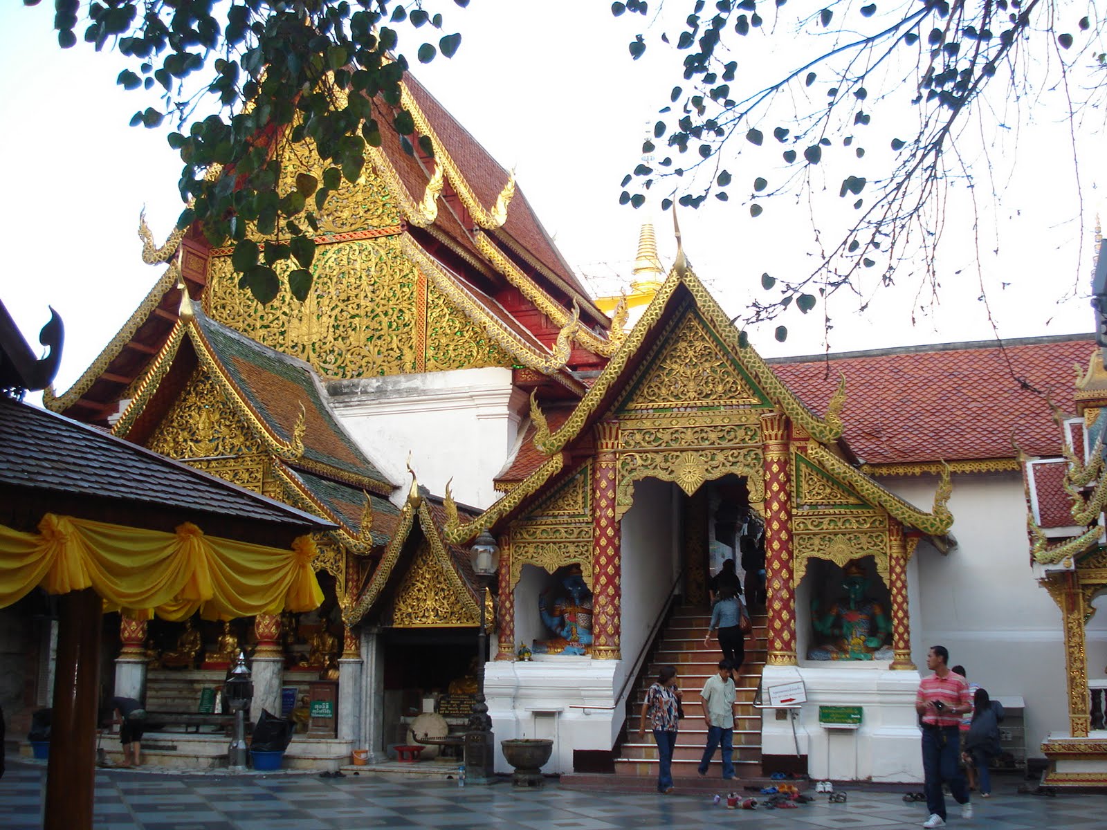 [20-Chiang+Mai+(dia+18+Nov+2009).JPG]