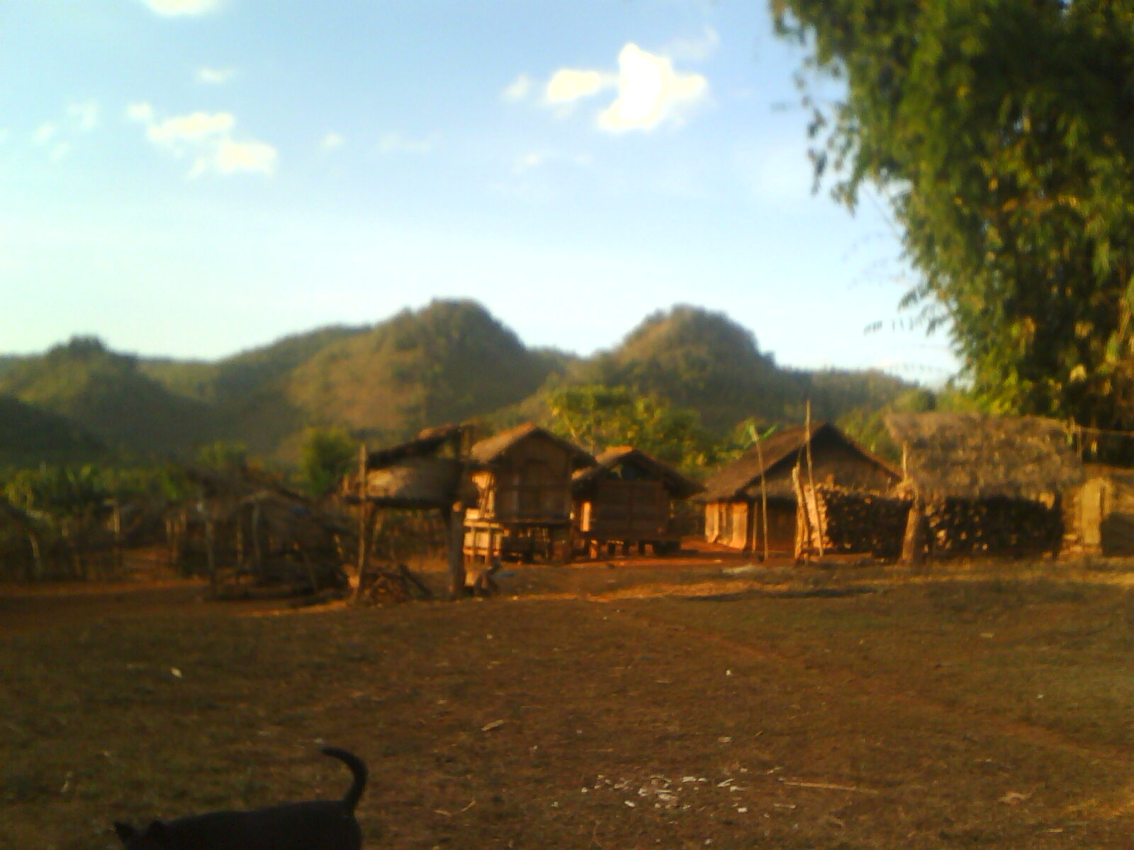 [PH_97.jpg]