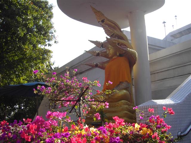 [16-PICT2412+(Small).JPG]