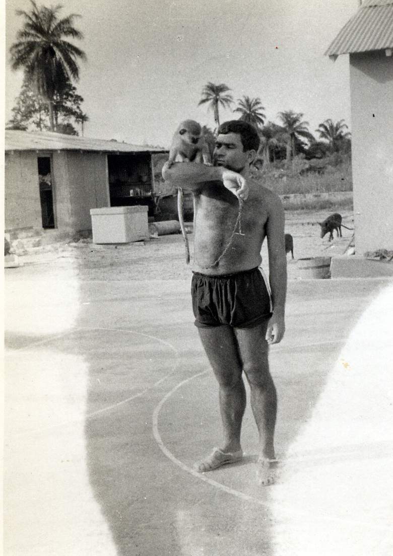 [65-+Alves1963-65.JPG]