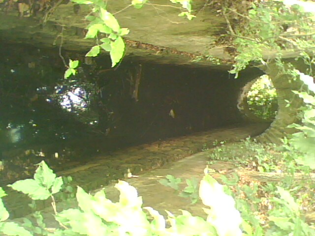 [IMG0081A.jpg]