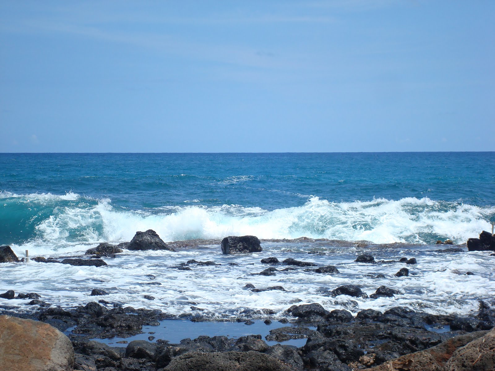 [DSC07011.JPG]