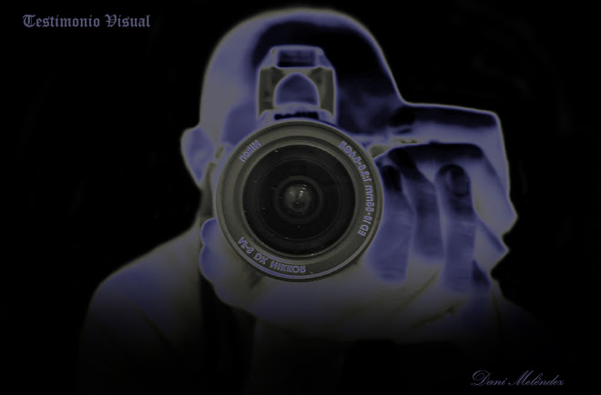 Testimonio Visual, Dani Meléndez.