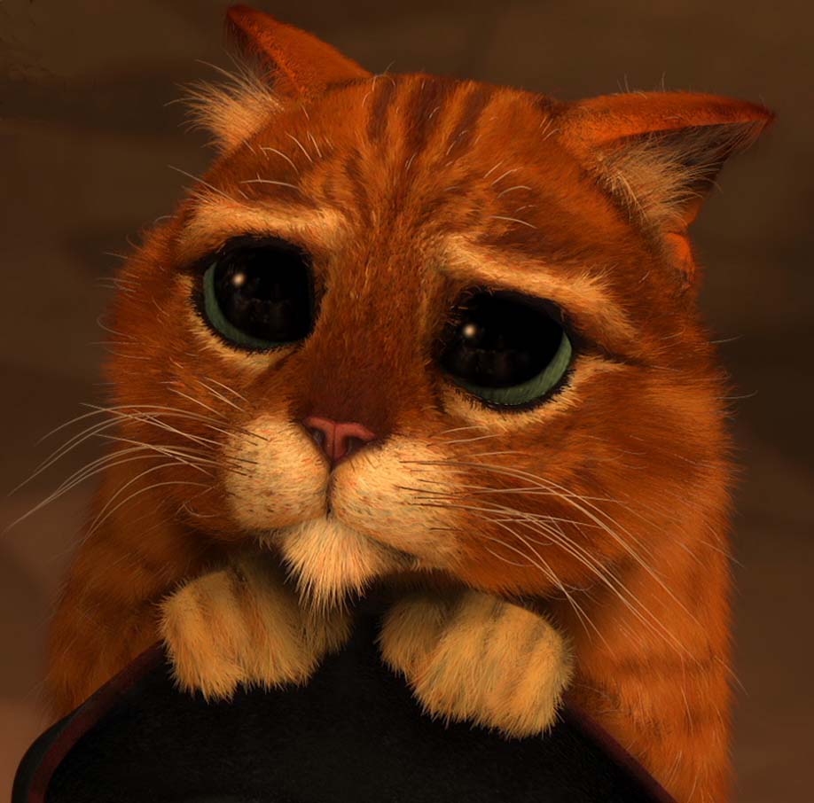 [gato_3.jpg]