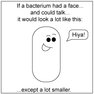[bacteriasmile2.gif]