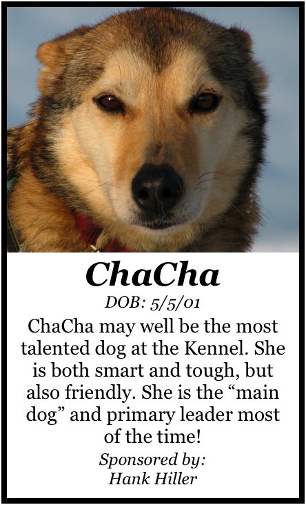 [ChaChaPoster.jpg]