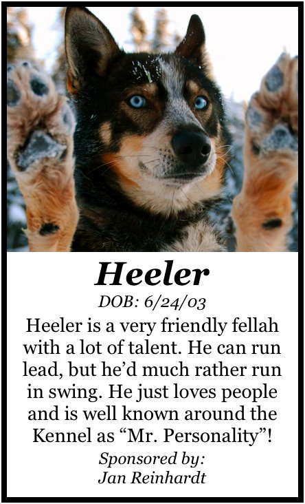 [HeelerPoster.jpg]