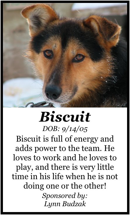 [BiscuitPoster.jpg]
