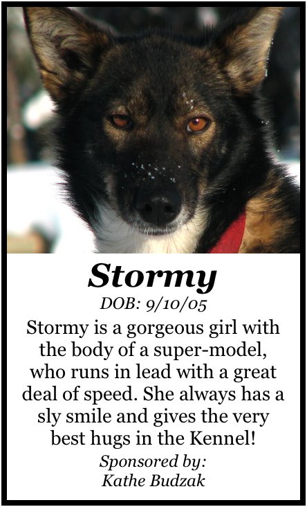[StormyPoster.jpg]