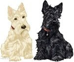 SCOTTISH TERRIER