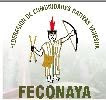 FEDERACIÓN DE COMUNIDADES NATIVAS YANESHAS