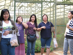 Blowing in the wind--si Badette