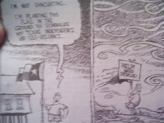 Political Cartoon #4