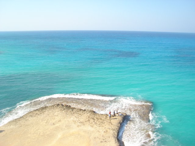 [DSC04428.JPG]