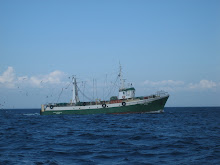 sur la route de Mohamedia