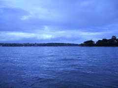 View of the Harbour