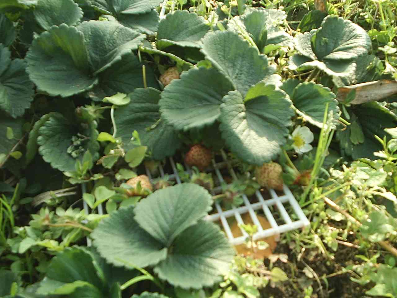 [S2010096.JPG]