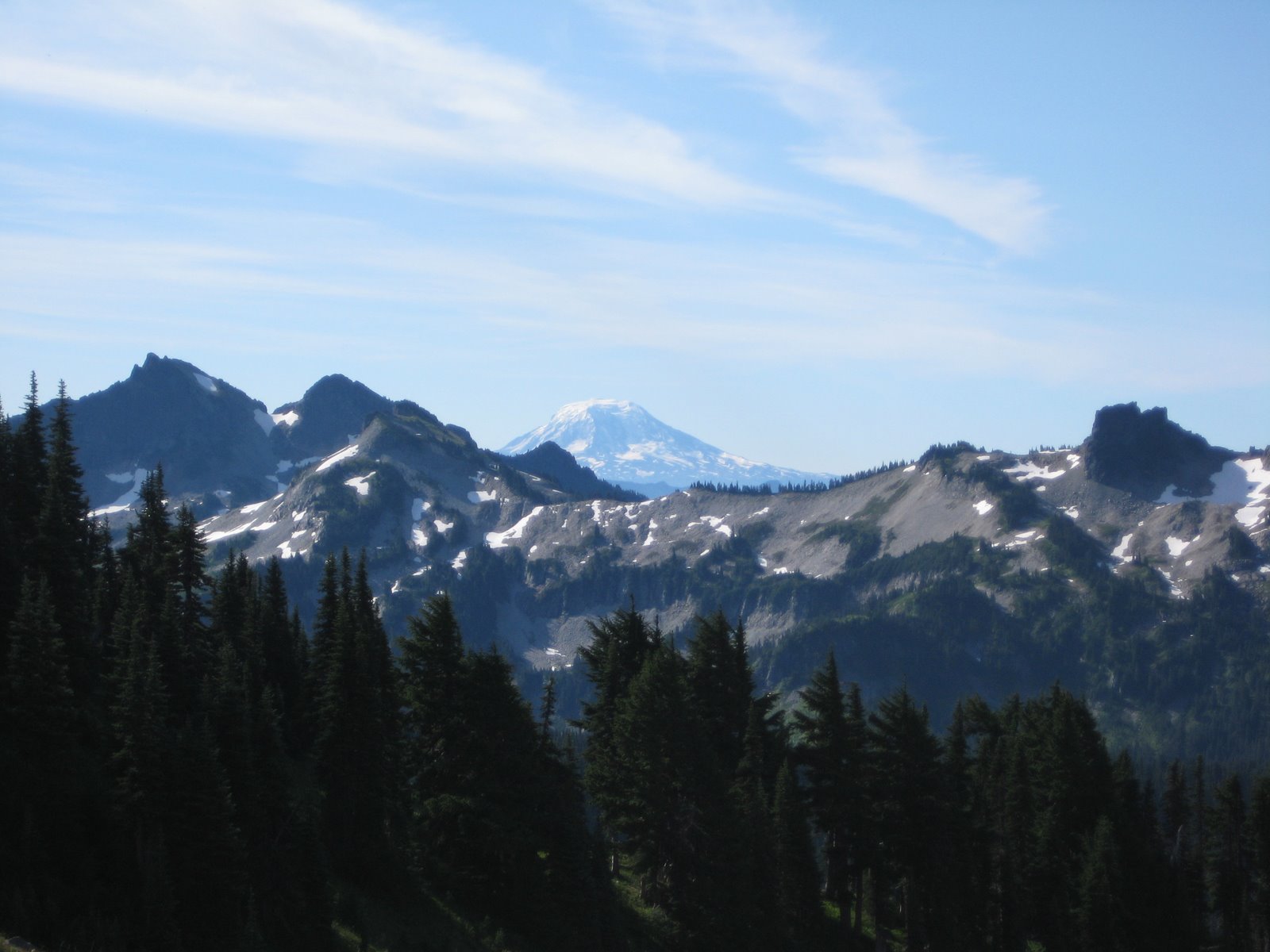[IMG_7444.JPG]