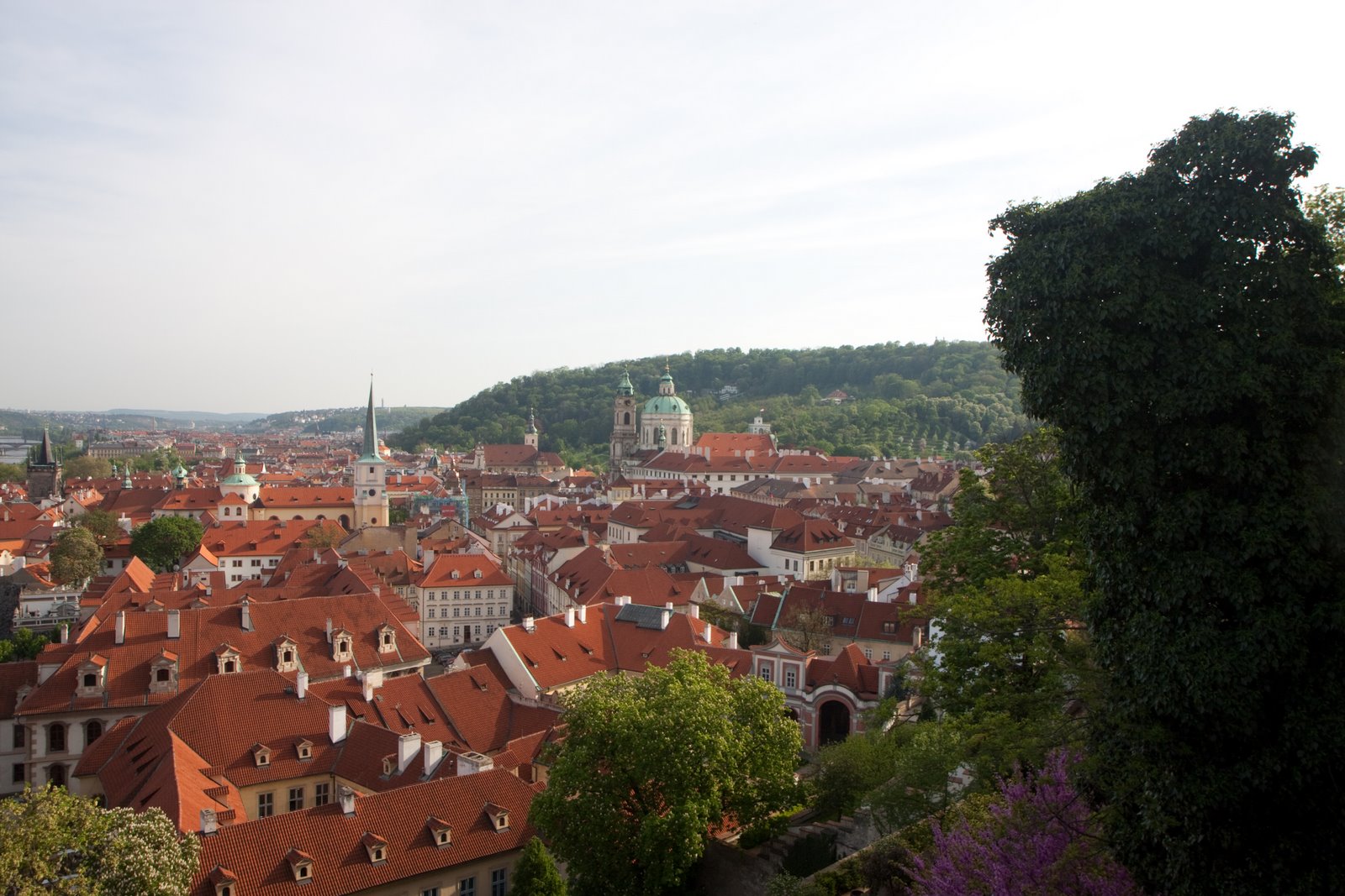 [20090427-20090427-IMG_0915.jpg]