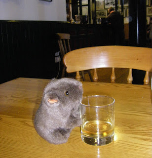 The Wombat tries some Bushmills whiskey