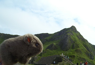 The Wombat looming above the Giant's Causeway