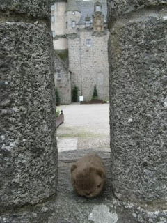The Wombat in the courtyard of Castle Fraser