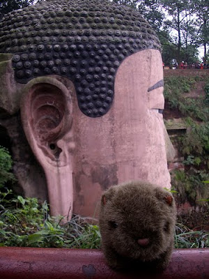 The Wombat in China