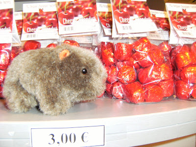 The Wombat sees Belgian chocolate